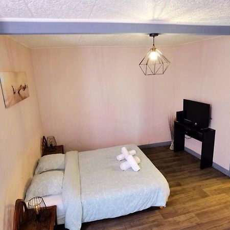 Appartement T1 Bis Quartier Du Chateau De Pau Dış mekan fotoğraf